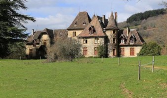 Château à rénover à vendre sur 140 ha avec fermes et dépendances dont partie louée