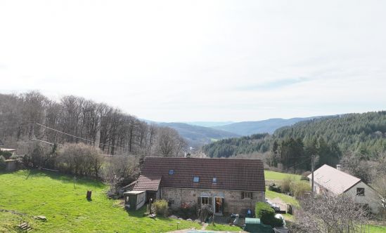 Country house and gîte for sale on 4,759 m² of land on the edge of a forest